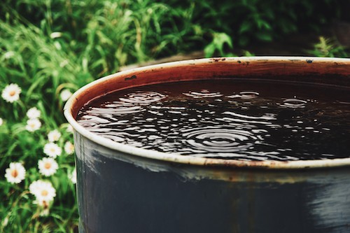 Récupération eau de pluie pour remplissage piscine.jpeg